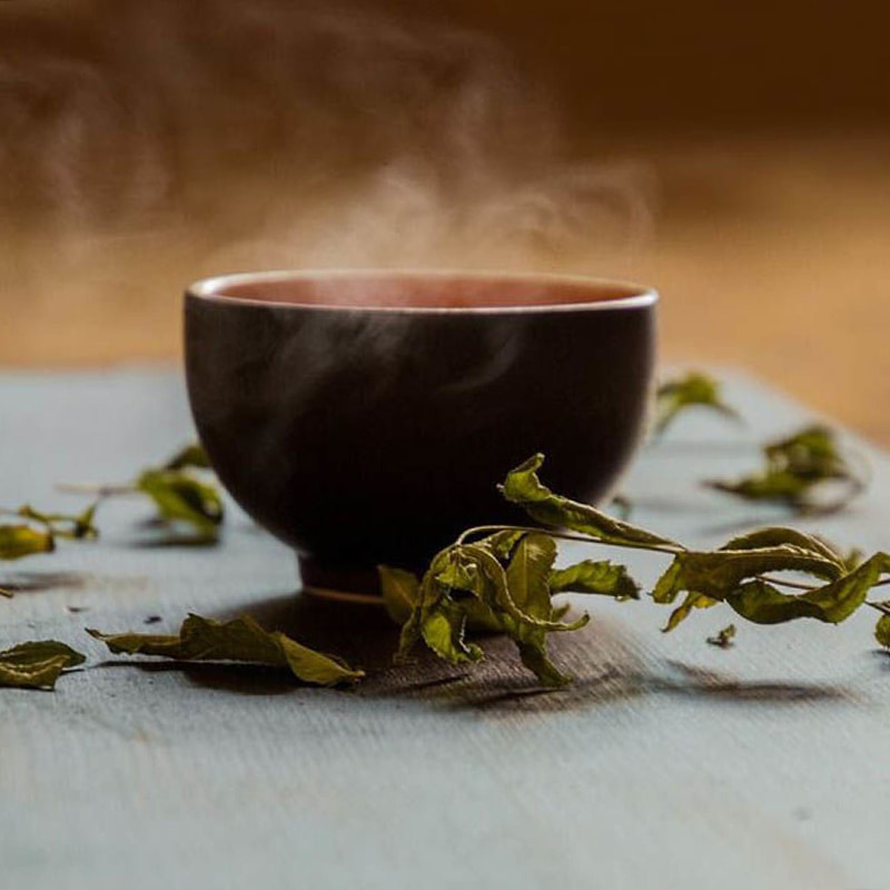 茶限外濾過濃縮システム